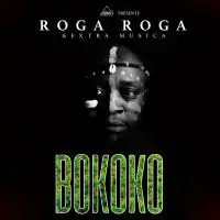 Roga-Roga-x-Extra-Musica-Bokoko.webp