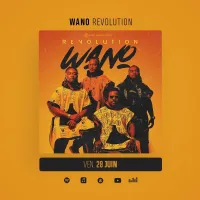 Revolution-Wano.webp