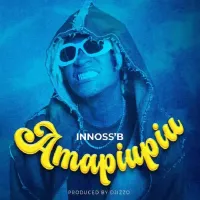 Innoss-B-AMAPIUPIU.webp